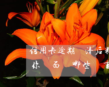 信用卡逾期結清后果會怎樣，信用卡逾期不還，你將面臨哪些嚴重后果？